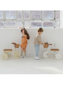 Trike with removable push bar white - Banwood