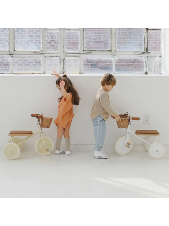 Trike with removable push bar pink - Banwood