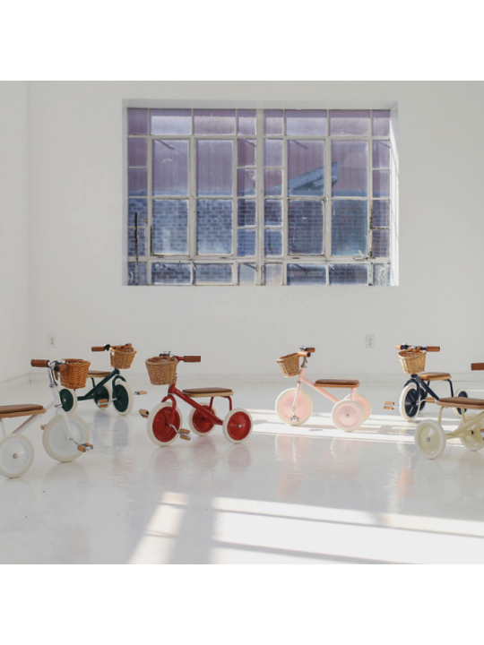 Trike with removable push bar white - Banwood