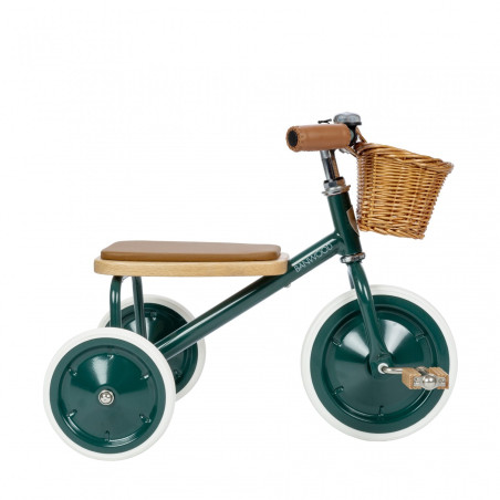 Trike with removable push bar green - Banwood