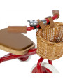 Trike with removable push bar red - Banwood