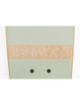 Skateboard per bambini da 3 anni in su colore menta stile California degli anni 70 - Banwood