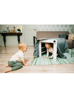 Slide with Ramp for climbing