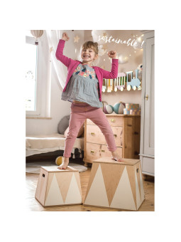 Basket Crate Box in Birch Wood Toy Box Holder for Children's Bedrooms - Trapezoidal pedestal in colored Circus style