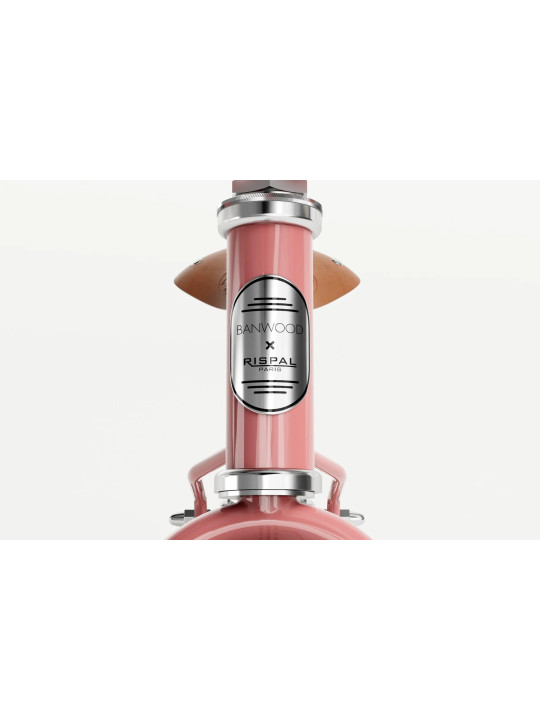 Balance Bike Icon Sage Rose - Banwood