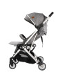 Passeggino con Schienale Regolabile Vivo Grigio/Argento - Ding Baby