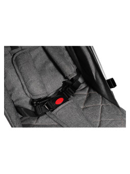 Passeggino con Schienale Regolabile Vivo Grigio/Argento - Ding Baby