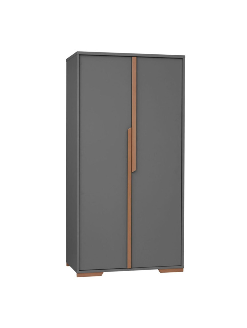 Guardaroba con 2 ante per la Cameretta dei Bambini in MDF grigio e profili in legno di faggio - Collezione Snap