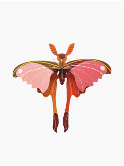Cardboard Wall Decoration - Pink Comet Butterfly
