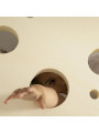 Asse per letto singolo 80x190 per bambini in legno di pioppo laccato -  Miscimù